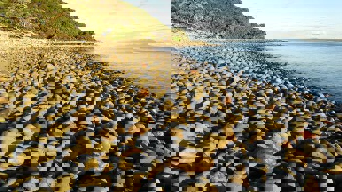 Photo / Cliff Taylor