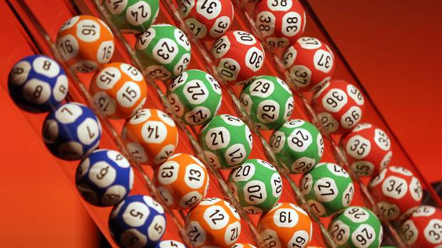 kiwi lotto