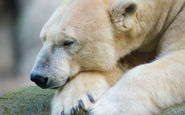 Climate change is creating more anxiety amongst teens. (Photo / SXC)