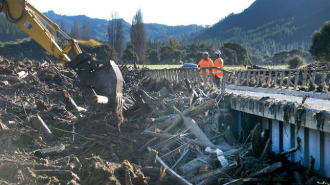 Finding work for forestry workers is a top priority for the government. (Photo / File)
