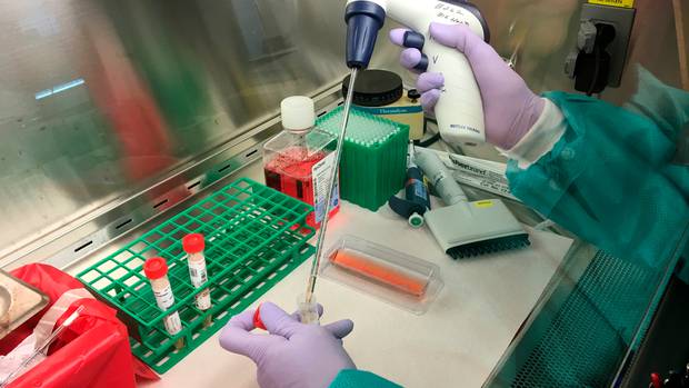 Photo / California Department of Public Health, via AP