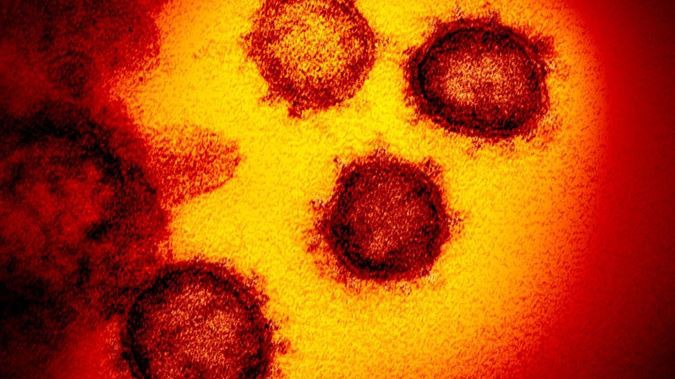 Nearly 9000 households have self-isolated since Covid-19 outbreak began. (Photo / Supplied)