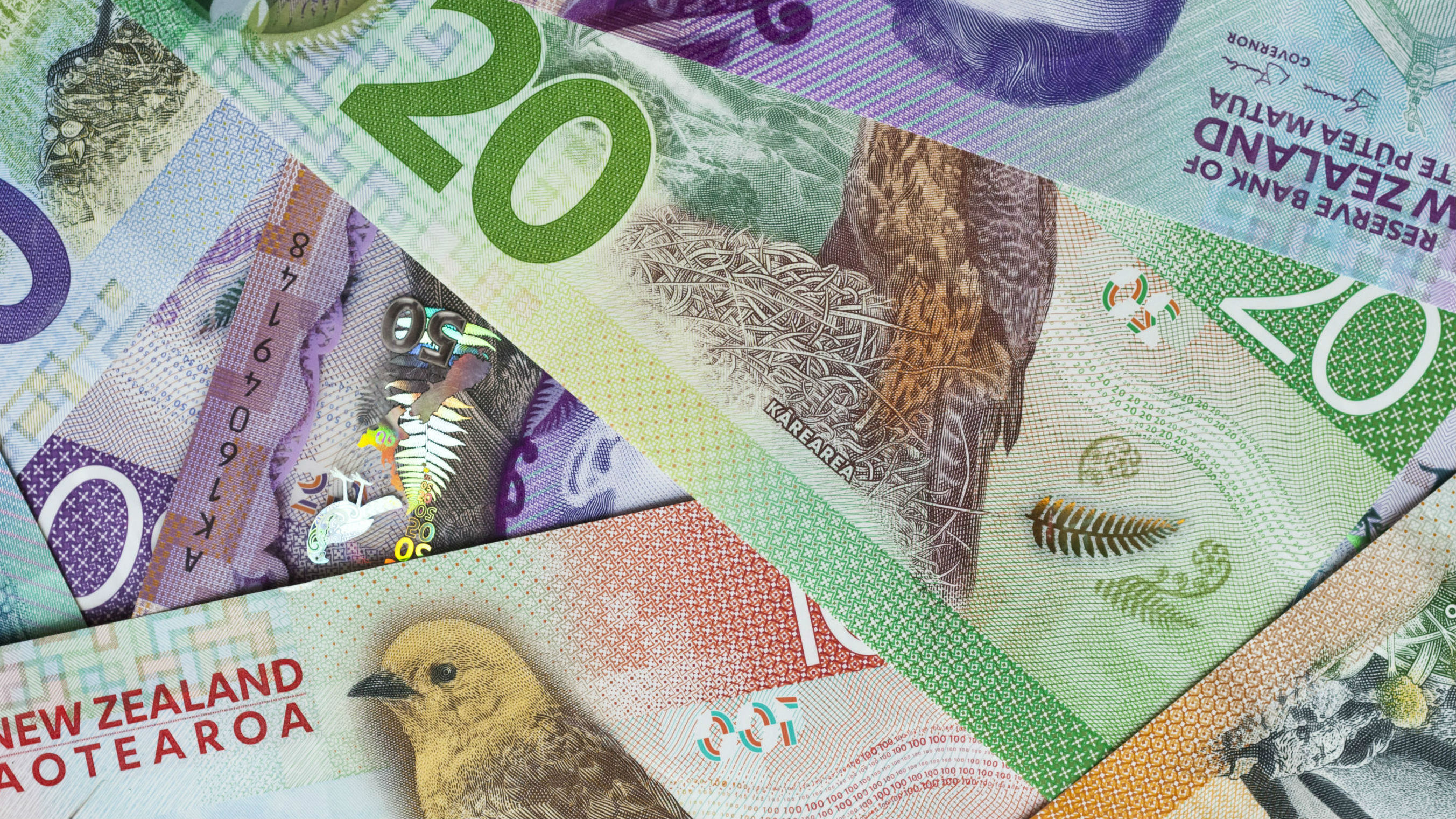 NZ Herald Business Editor-at-Large reacts to OCR hike