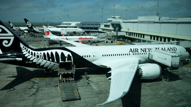 This assistance comes at a desperate time for the airline. Photo / File.