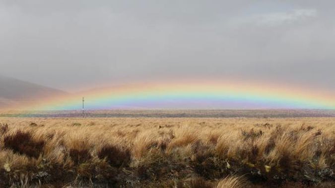 'Grave fears' for missing person leads police to remote burial site near the Desert Road. Photo / Supplied
