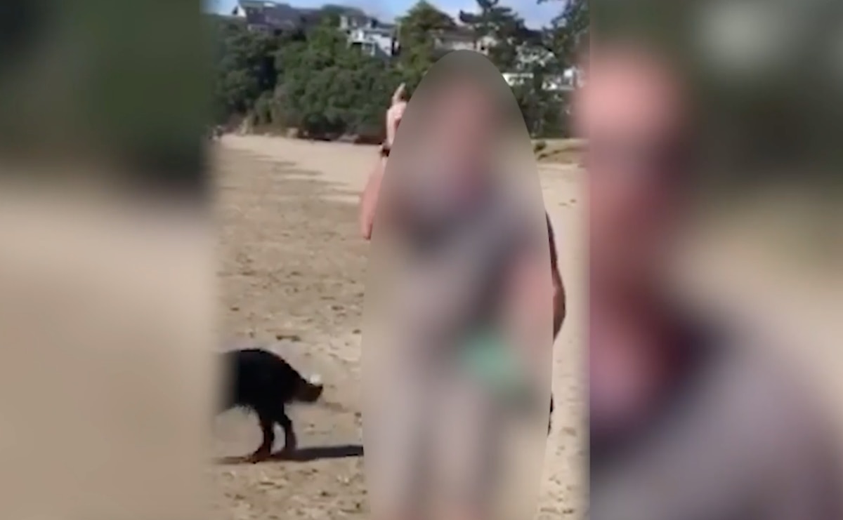 Adults arguing over the finer points of the Covid-19 lockdown restrictions. Video / Supplied