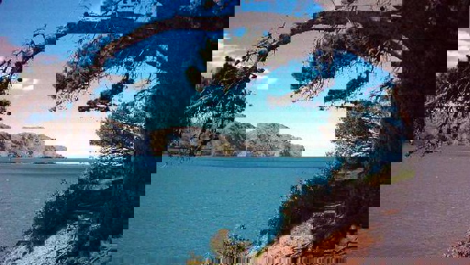 A woman's body was found about 7.20pm yesterday in the water at Lyttelton Harbour in Christchurch. Photo / File