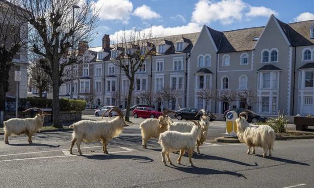 The streets of the seaside town have been empty during the nationwide lockdown due to the coronavirus.