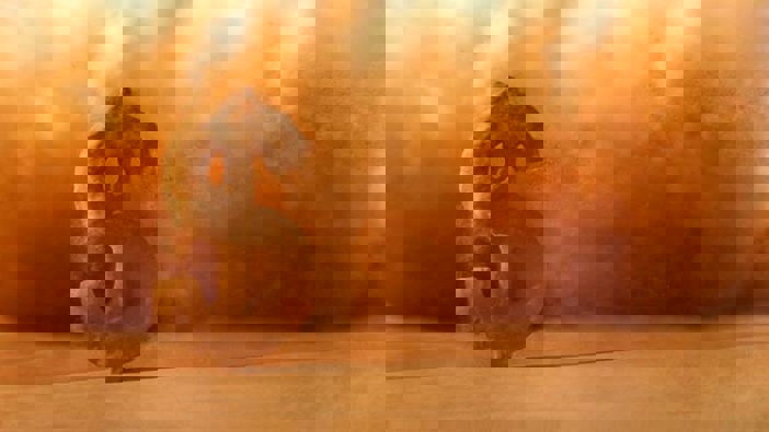 Your rights as an employee during lockdown Photo/File