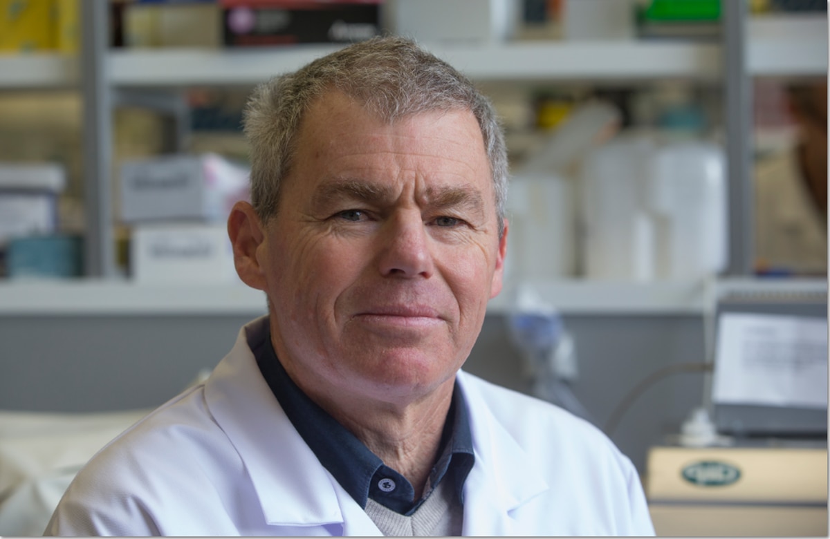 Professor Graham Le Gros, director of the Malaghan Institute, an independent Wellington-based research centre. Photo / File