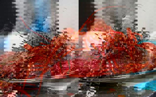 Photo / File