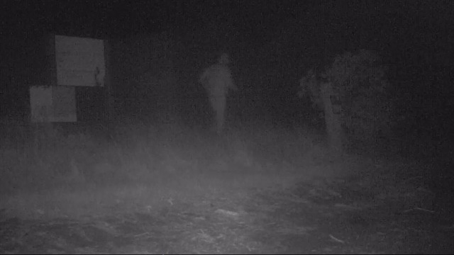 Cameras on Auckland pest-free island catch lockdown-breakers