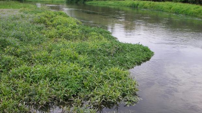 Cleaning waterways is one of the main recipients of the environmental focus. (Photo / File)