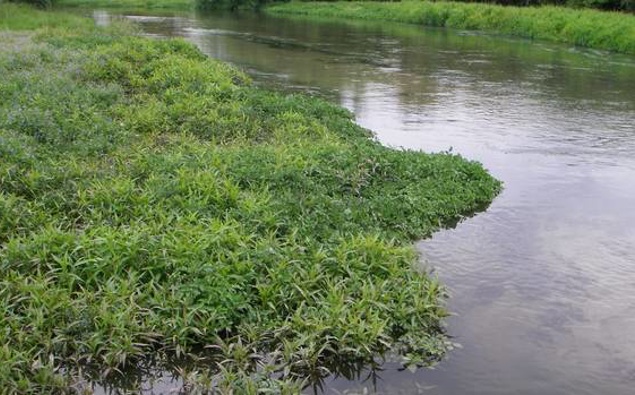 Cleaning waterways is one of the main recipients of the environmental focus. (Photo / File)