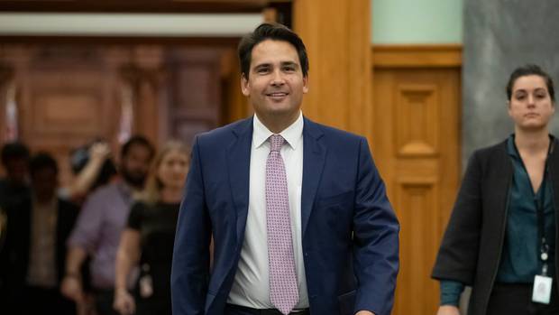 National Party leader Simon Bridges. Photo / Pool
