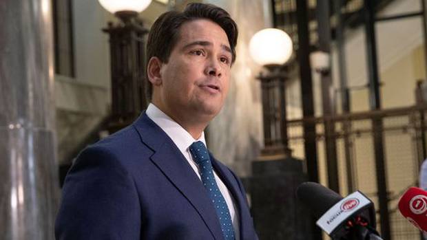 National Party leader Simon Bridges. Photo / File