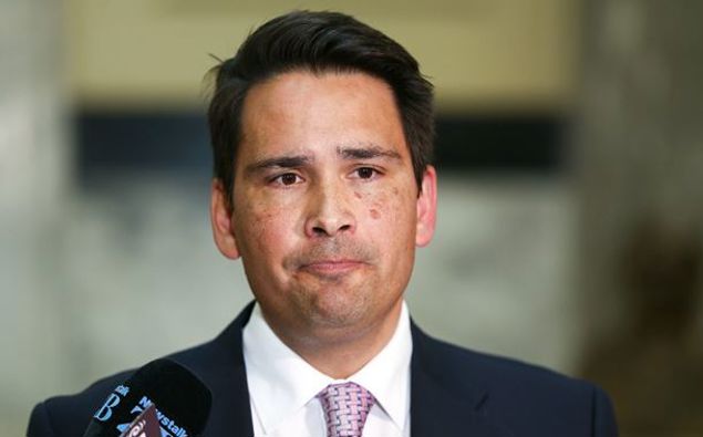 Photo / NZ Herald