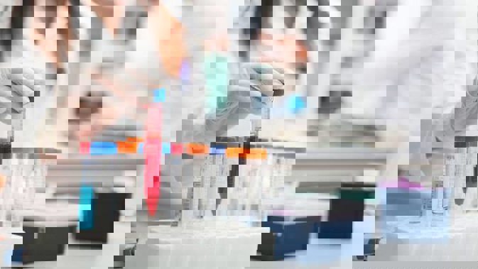 Photo / 123RF