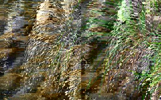 Photo / File