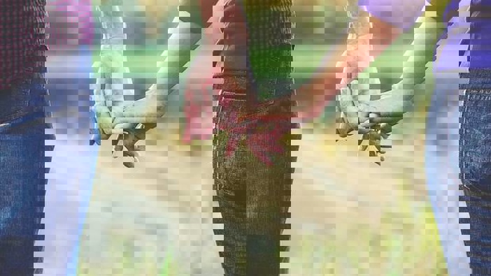 (Photo / Getty Images)