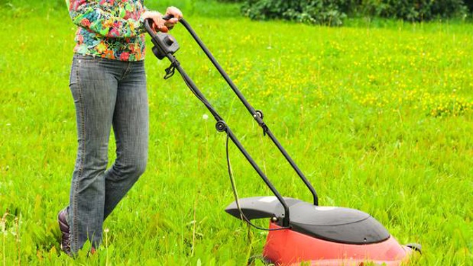 A Housing New Zealand property manager asked a tenant how she was getting on with mowing the lawn. A torrent of abuse and threats ensued, a Dunedin court has heard. (Photo / Supplied)