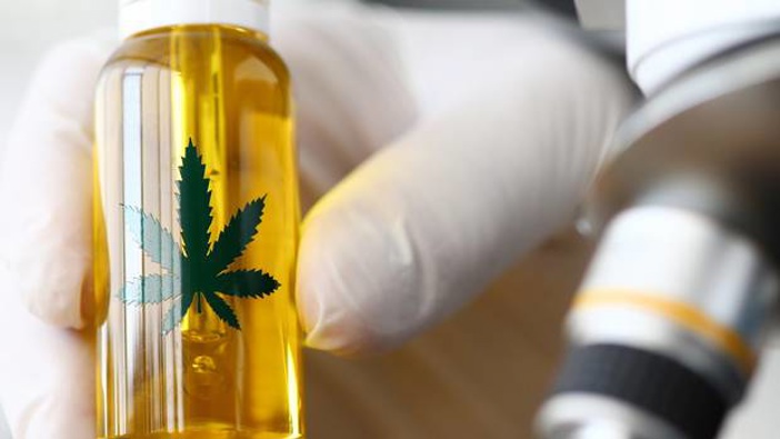 The Science of Medicinal Cannabis paper will be offered from semester 2 at AUT. Photo / 123RF
