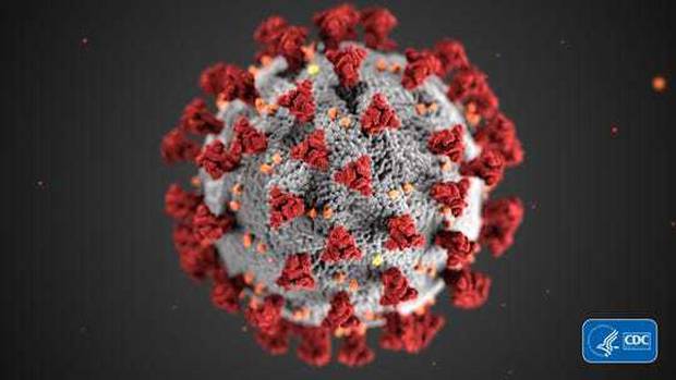 Coronavirus lockdowns may have helped prevent half a billion Covid-19 cases
