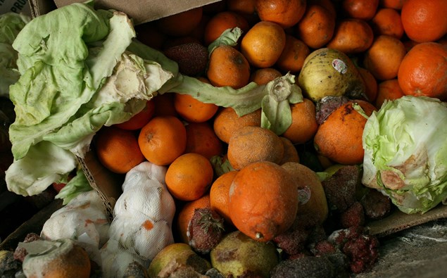 (Photo \ Getty Images) 