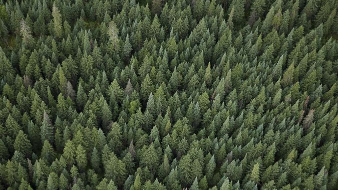 Photo / Getty Images