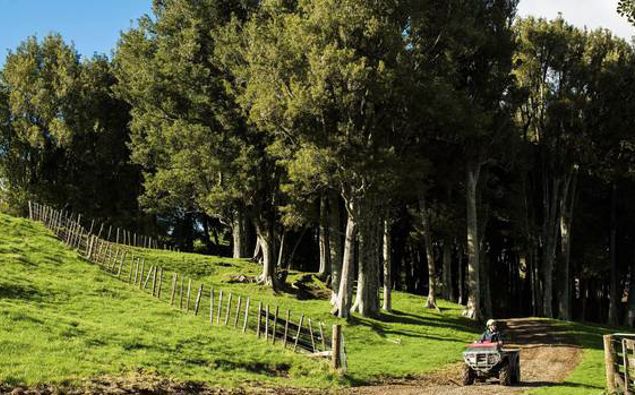 Dani Darke on her King Country farm. (Photo / Supplied)