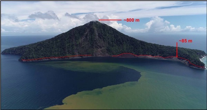 This image of Indonesia's Rakata Island shows the 85m-height of the tsunami when it hit in December 2018. Photo / Jose Borrero