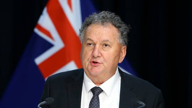 Shane Jones. (Photo / File)