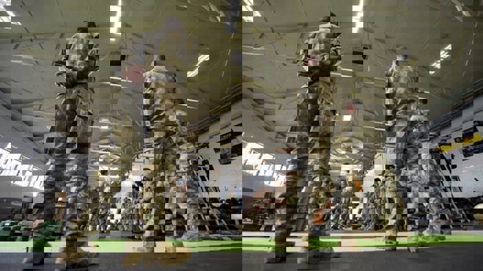 The Defence Force would have monitored the borders