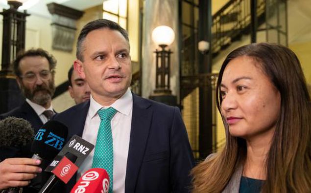 James Shaw and Marama Davidson. (Photo / NZ Herald)