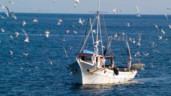 Nash blames the delay of the rollout of cameras on fishing boats on NZ First pressure in the leaked recording. Photo / iStock