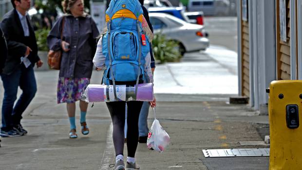 The tourism industry says the levy should go towards businesses struggling. Photo / RNZ