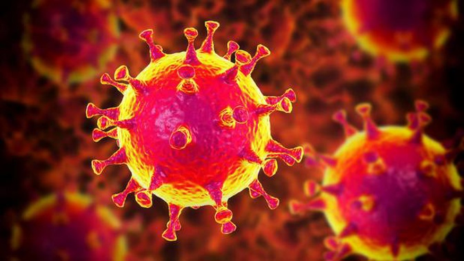 The Ministry of Health is sending its daily update on Covid-19 in New Zealand. Photo / 123rf