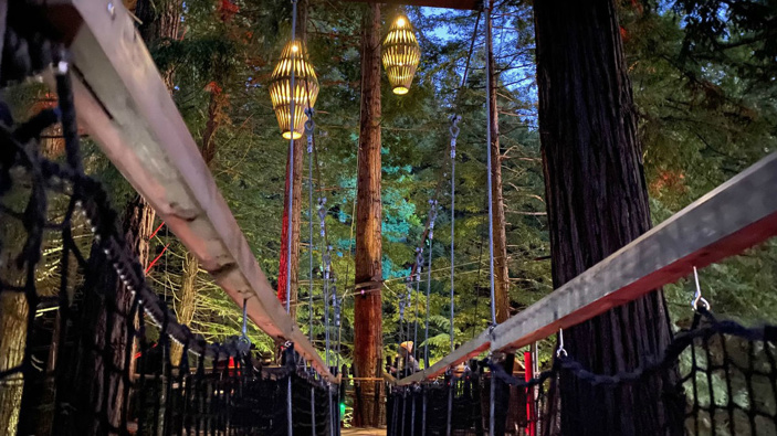 The Redwoods night lights in Rotorua. (Photo / Megan Singleton)