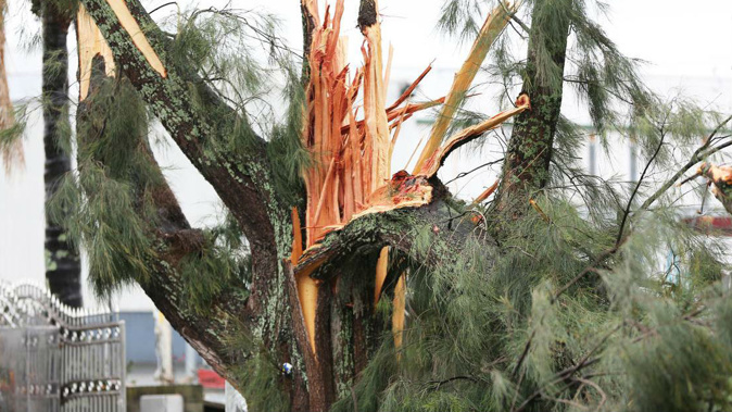 High winds, torrential rain and tornadoes battered East Tamaki and Papatoetoe at the end of June and more strong winds are forecast for Auckland in the next 36 hours. Photo / Hayden Woodward 