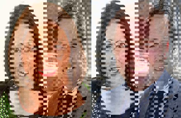 Michelle Boag and Hamish Walker combined to leak 18 Covid patients' confidential details.