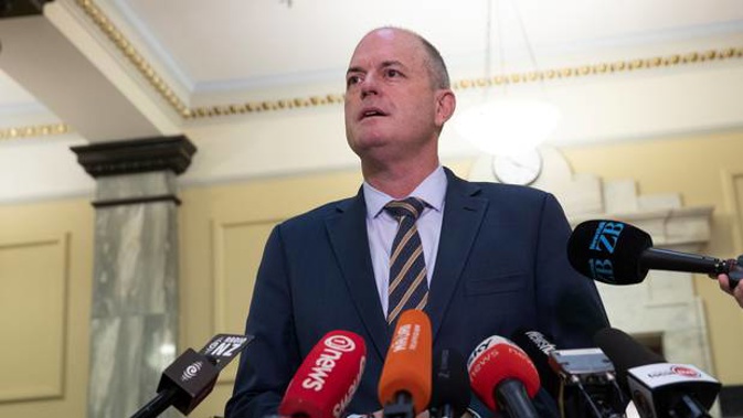 National Party leader Todd Muller at Parliament. Photo / Mark Mitchell