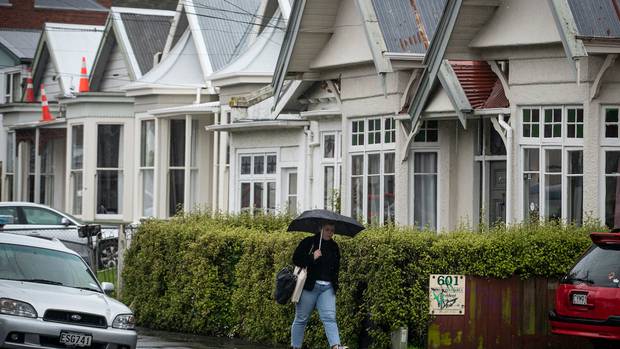 General view of Castle St in Dunedin. Photo / Jason Oxenham