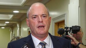 Heather du Plessis-Allan: Is National telling us the full truth?