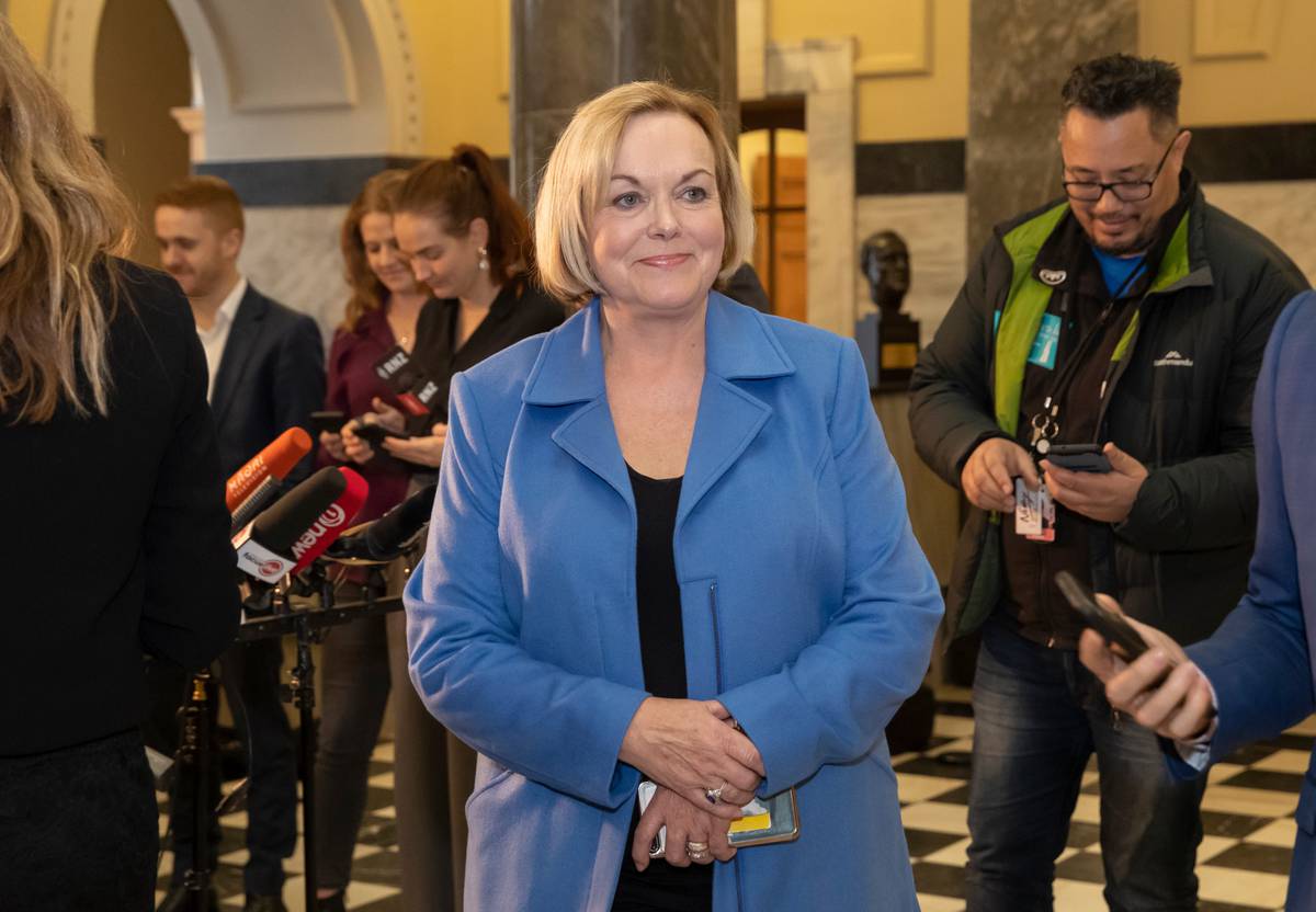New National leader Judith Collins. Photo / Mark Mitchell