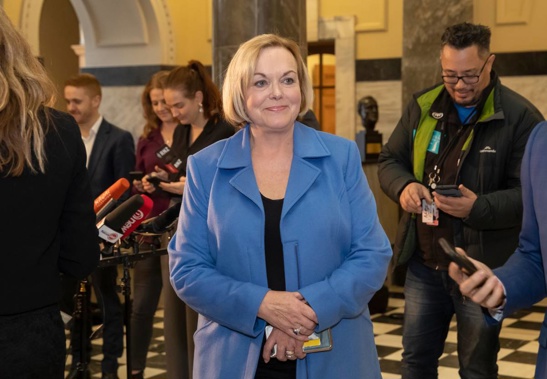 New National leader Judith Collins. Photo / Mark Mitchell