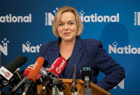 New National leader Judith Collins unveiled her MPs' new portfolios today. Photo / Mark Mitchell