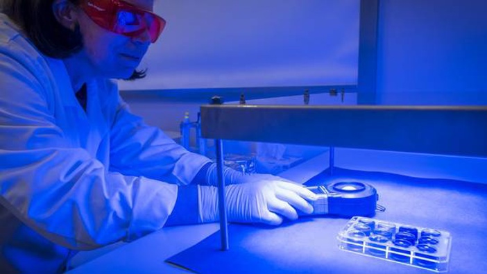AgResearch scientist Gale Brightwell working on the light sterilisation project. Photo / Supplied.