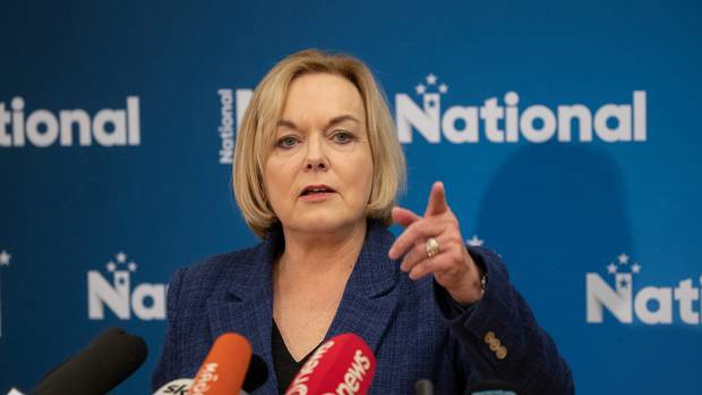 National Party leader Judith Collins has reshuffled her shadow cabinet. (Photo / Mark Mitchell)