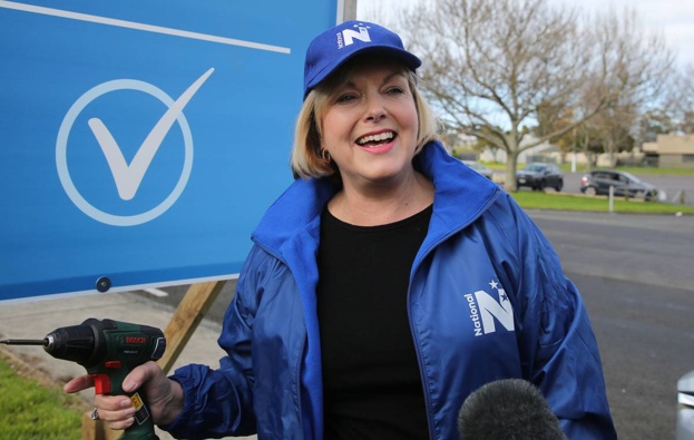 Judith Collins has ruled out working with NZ First. (Photo / NZ Herald)