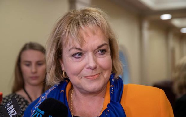 Judith Collins on her way to a National Party caucus meeting. Photo / Mark Mitchell